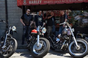 Harley Davidson show Bra