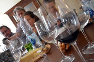 Wine vineyard Novello