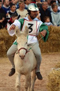 When not working, eating or drinking, the Piemontese can mostly be found racing donkeys